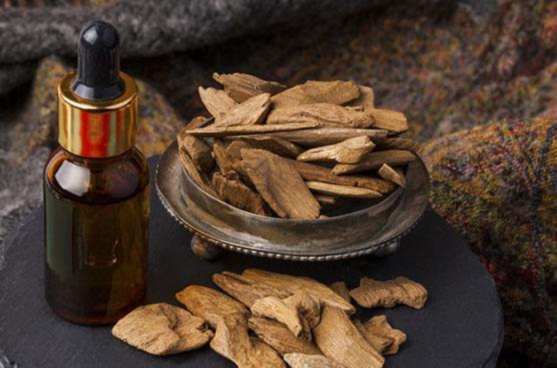 Tinh dầu trầm hương khuynh diệp có nhiều công dụng đối với sức khỏe con người